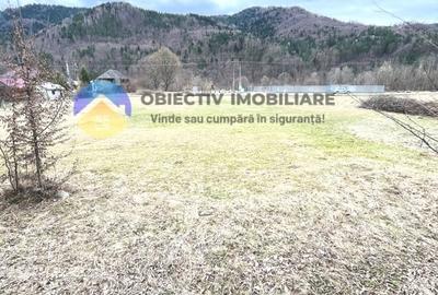 TEREN zona de munte TARCAU - 6