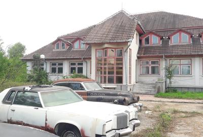 Casă cu 4 camere în Băcia - 5