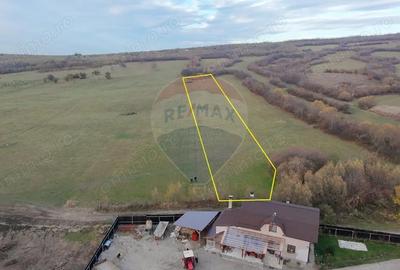 Teren de 5800 mp, în Purcăreni - 3