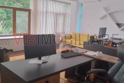 Casă cu 6 camere cu Teren 250 Mp în Mehala - 10