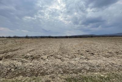 Teren agricol extravilan de 2300 mp, în Horodnic de Sus - 5