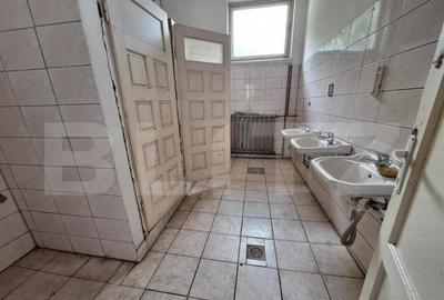 Proprietate de cazare, spatii comerciale, Lugoj - 11