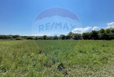 TEREN  INTRAVILAN  5000mp ORAS CISNADIE  STR. SELIMBARULUI - 3