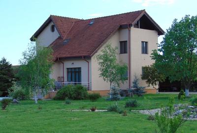 FARA COMISIOANE CASA MOBILATA CU 7 CAMERE 4 BAI P+1+M GARAJ PISCINA pe 4000mp - 2
