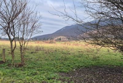 Teren intravilan de 5200 mp, în Cristian - 4