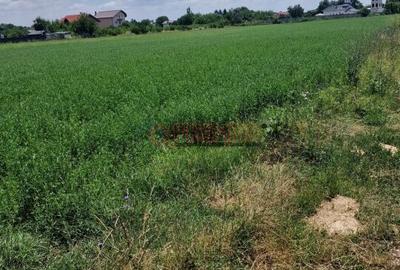 Teren de 9470 mp, în Bolintin-Deal - 8
