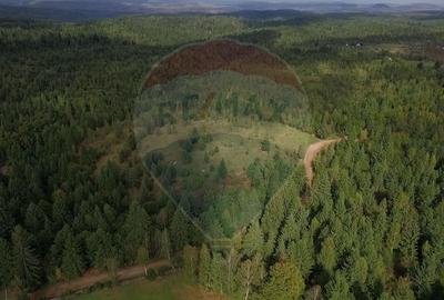 Teren extravilan parcelabil Calatele Padure, zona Dealu Negru - 10