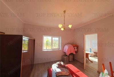 Casa renovata extinsa si teren 5470 mp Pantelimon Jud Constanta - 18