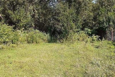 Casă cu 2 camere cu Teren 3100 Mp în Bunești (Mălureni) - 2