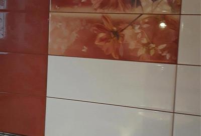 Casă cu 6 camere cu Teren 600 Mp în Tractorul