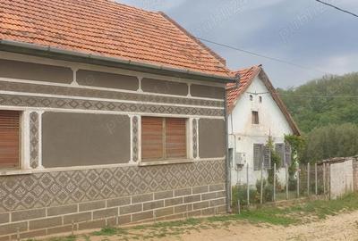 Casă cu 3 camere în Dezești - 6