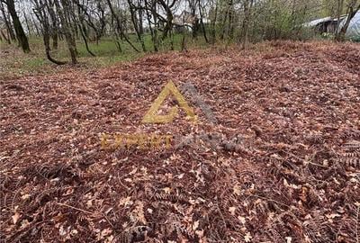 Teren de 1000 mp, în Groși