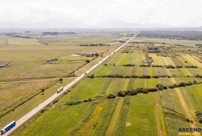 Teren extravilan Lunca Calnicului langa E574 - 18