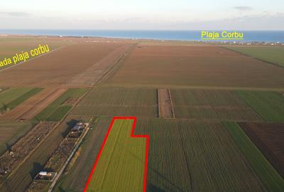 Teren de 250 mp, în Corbu - 4