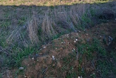 Spațiu comercial, în Sânandrei