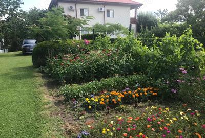 Proprietar : Imobil - Teren - Anexe Proprietar : Imobil - Teren - Anexe - 1