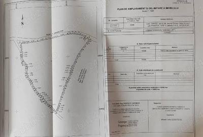 Teren de 10036 mp, în Slon - 1