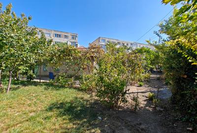 Teren Construcții intravilan de 933 mp, în Mangalia - 5