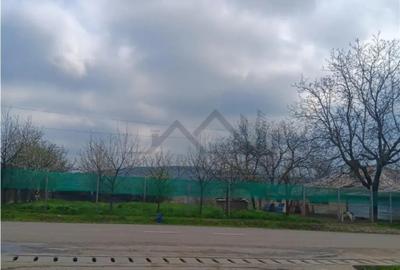 Teren în Dorobanț - 3