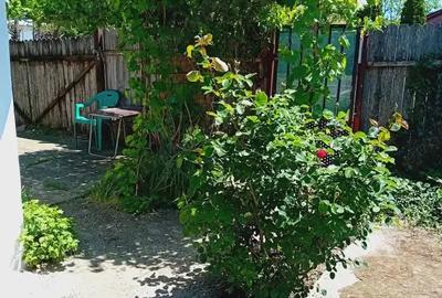 Vand casa cu 2 camere ,300 mp curte - 5