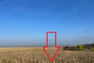 Teren 6.668 mp, de vanzare, loc. BOGDAN VODA, la E-85, com. Saucesti, jud. Bacau - 6