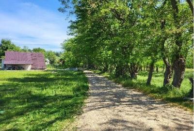 Teren de 1743 mp, în Tisău - 10