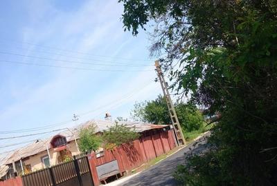 Casă cu 3 camere în Radu Negru - 2
