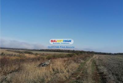 Teren Snagov Ghermanesti  latura mare  lac si padure 70000 - 2