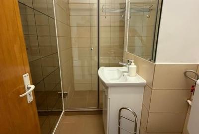 Apartament cu 3 camere decomandat, mobilat în Universitate - 7