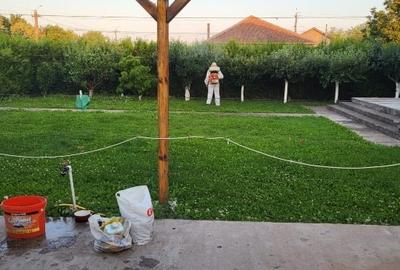 Spațiu comercial plus o vila - 6