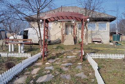 Casă cu 3 camere cu Teren 13000 Mp în Stănița - 10