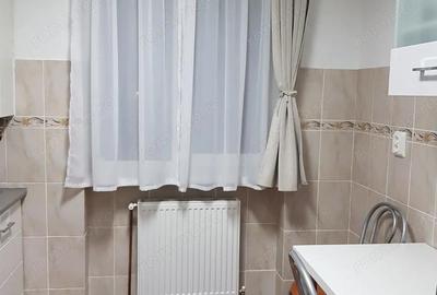 Apartament cu 2 camere semidecomandat în Gojdu - 14