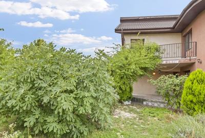 Vilă eleganta, spatioasa, suprafata utila 200 mp, teren 763 mp, Tărtășești - 7