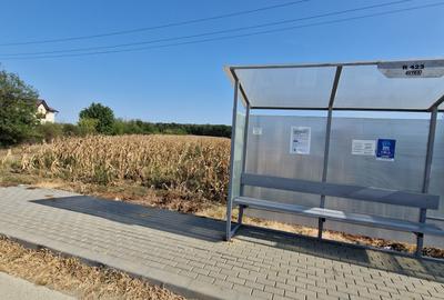 Teren Construcții intravilan de 2200 mp, în Domnești - 3