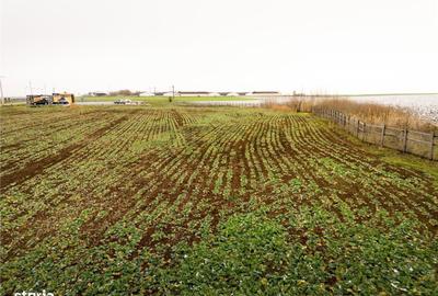 Spațiu comercial, în Roit - 2