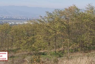 Teren agricol extravilan de 5500 mp, în Ciugud - 1