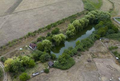 Teren de 7900 mp, în Frumușeni - 3