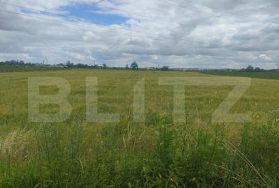 Teren de 6600 mp, în Rădăuți - 4