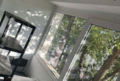 Apartament 2 camere de vanzare Cismigiu - 15