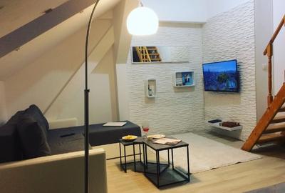 Garsonieră mansardată – 24 mp – Splaiul Nicolae Titulescu - 1