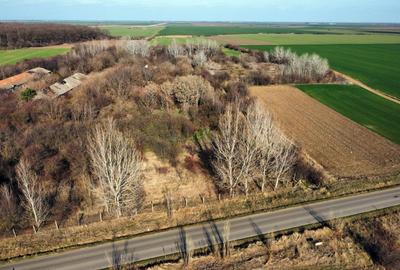 Teren Construcții intravilan de 70291 mp, în Micșunești-Moară - 22