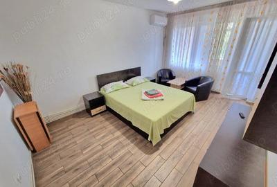 Inchiriere apartament zona ULTIMUL LEU - 2