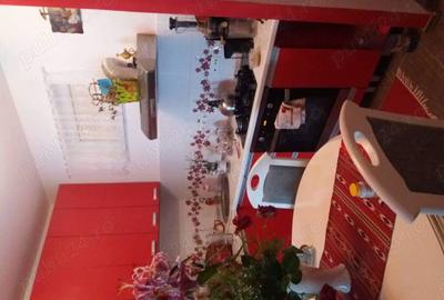 Apartament Apartament - 1