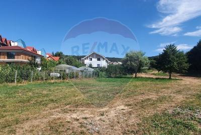 Teren de vanzare in Faget! 3600 MP! PUZ Aprobat!