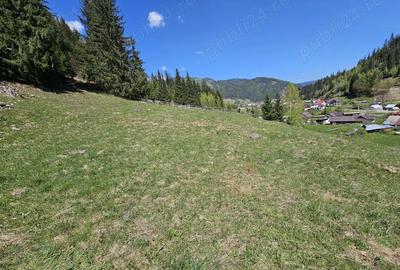 Teren de 5350 mp, în Pojorâta - 5