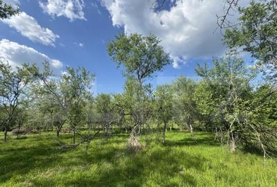 Teren intravilan de vanzare, 15080 mp, zona Tatara?ti - 4