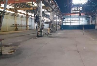 Spatiu Industrial - 4600 mp - Productie - Depozitare - Distributie - 16