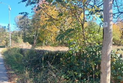 Vând teren 4200mp, int și ext în Romani  de jos - 2