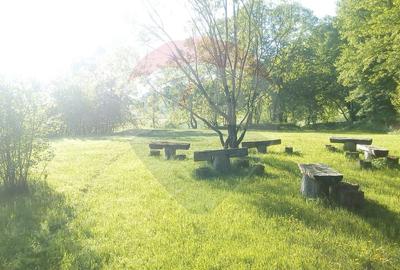 Teren Construcții intravilan de 31603 mp, în Gilău - 2