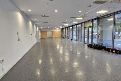 Pantelimon spatiu comercial 950 mp - 3